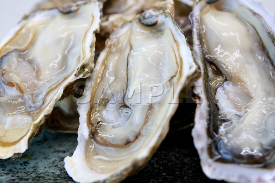 北海道産 厚岸産 牡蠣 カキ かき 刺し身 貝 魚介 和食料理 japanese food