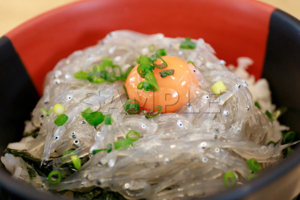 生しらす丼 生しらす丼 大洗 茨城 魚介 和食料理 japanese food