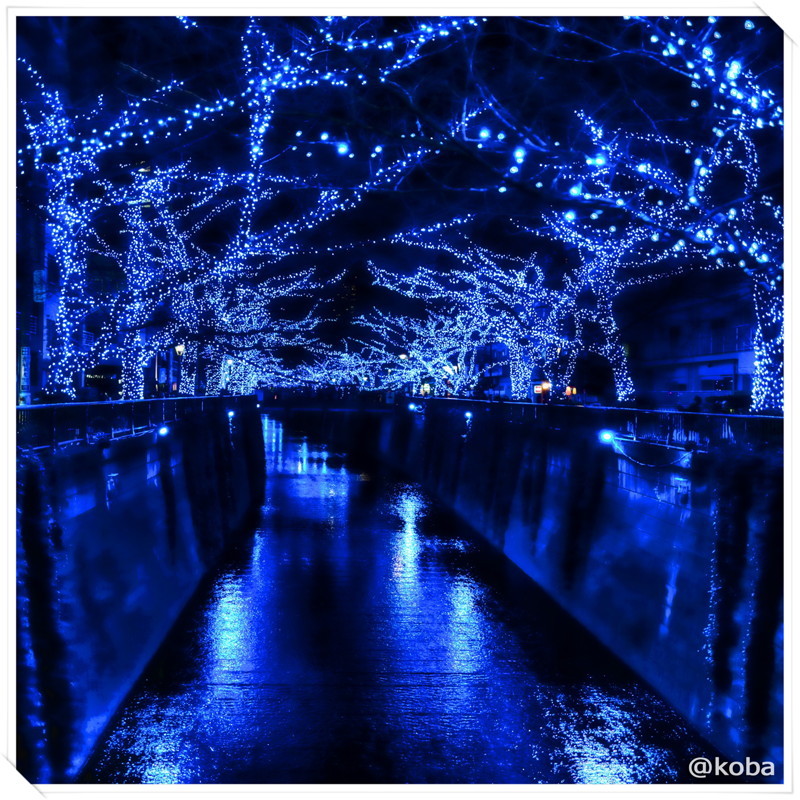 ｈｄｒ 青の洞窟 中目黒 イルミネーション 東京 14 こばフォトブログ 自分らしく自由気ままに